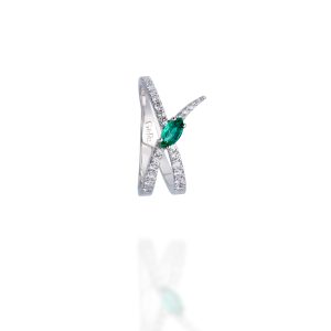 Anillo Jardín de Aire