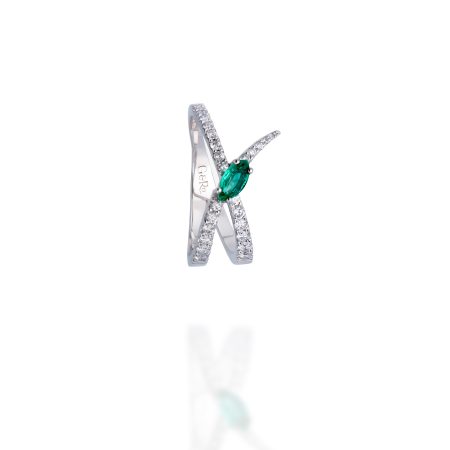 Anillo Jardín de Aire